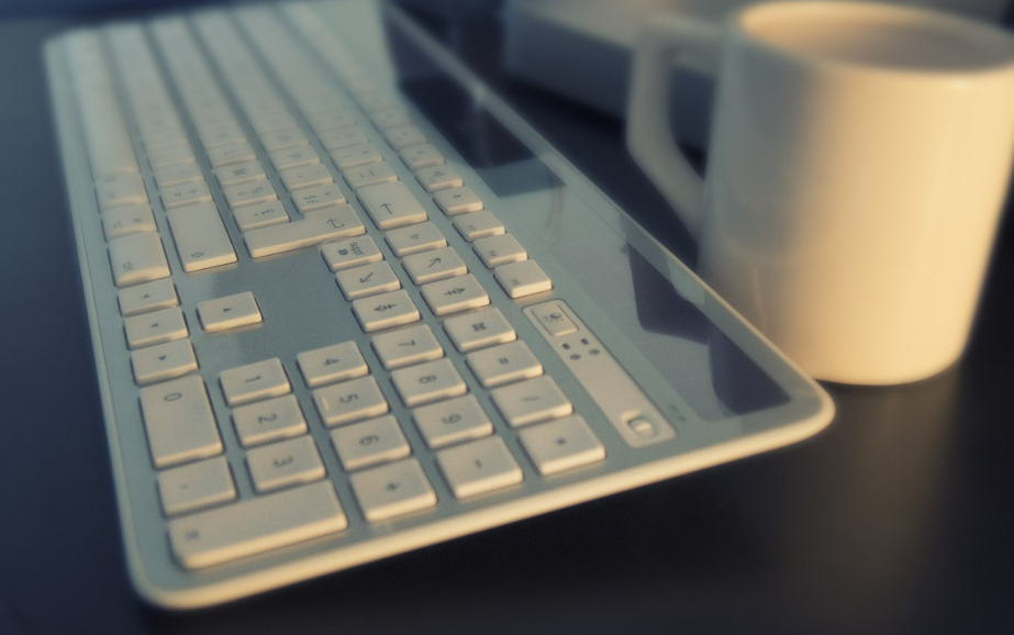 网站制作公司如何帮助宠物用品企业搭建国外电子商务网站?