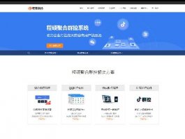 高端大气网络公司软件开发公