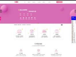 IT互联网/美容美发行业软件网站建