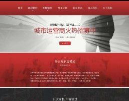 IT互联网KTV营销软件网站建设