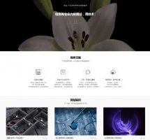 仿厦门唯品网络 网站建设企业Dede模板